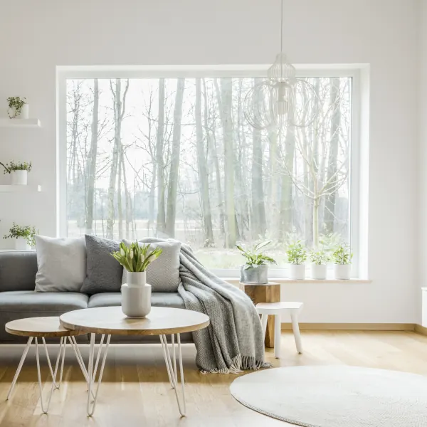 Panorama Fenster