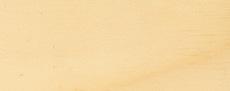 Fichte 300